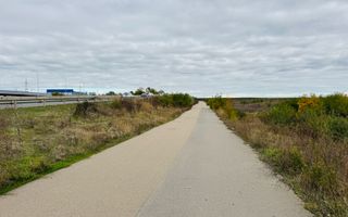 Teren extravilan Chitila/Mogosoia 15895mp - Poză 3