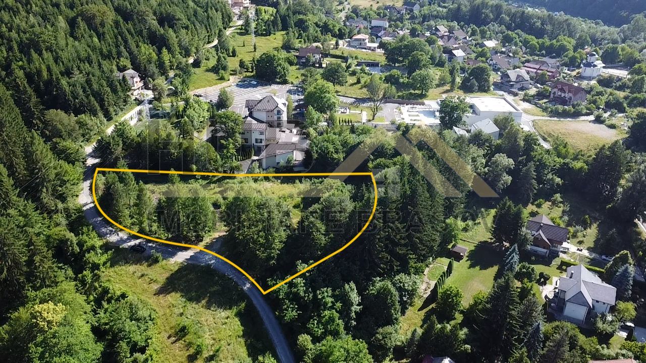 Oportunitate Investitie Teren Dambu Morii | Necesar PUD | Utilitati | 4.800mp - Poză 2