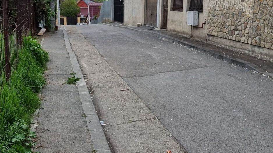 URGENT!, zona linistita, certificat de urbanism depus, NEGOCIABIL - Poză 3