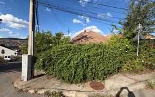Casă de vânzare renovabilă | Gruia | Teren 380 mp | Front la 2 străzi - Poză 14