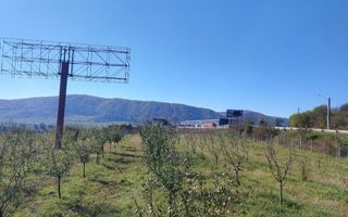 Teren intravilan 1,23 Ha la DN17 cu utilitati-livada-Crainimat - Poză 1