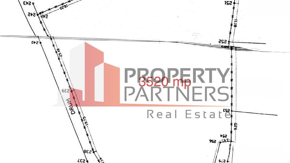 Teren Bran | 3.520 mp | Vedere Bucegi & Castelul Bran - Poză 6