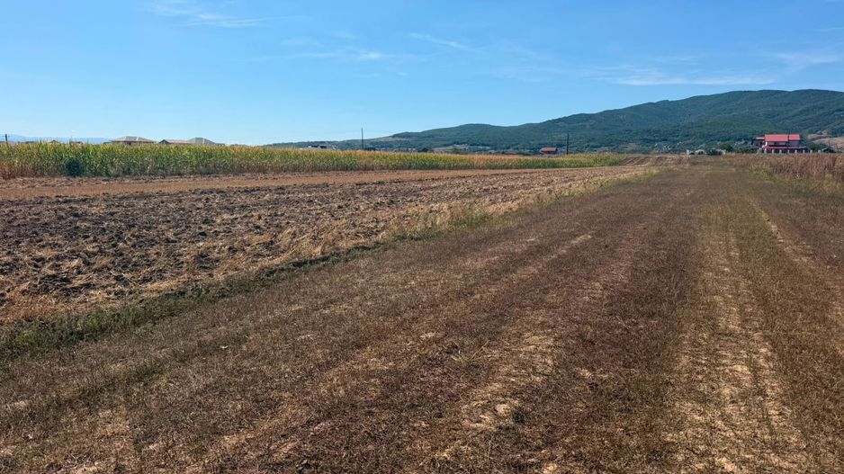 Teren de vanzare Alba Iulia, Barabant - Poză 2