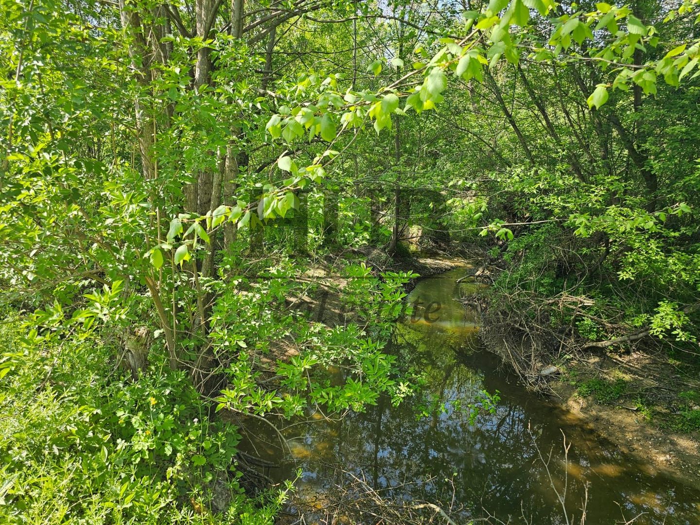 Teren intravilan | langa padure si parau | Luncani/Bacau - Poză 3