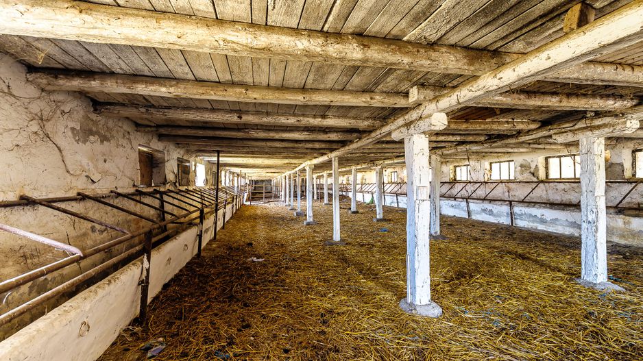 Fermă Mândruloc 2,5 ha - Poză 6