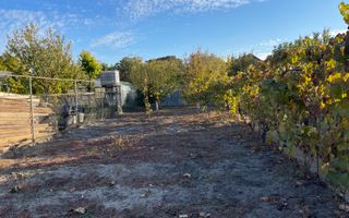 Teren ideal pentru constructie noua-800 mp cu front 22 ml - Poză 1