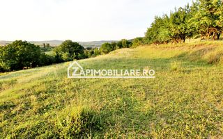 Teren Intravilan,5.000mp cu utilităti si proiect casă 12e mp - Poză 1