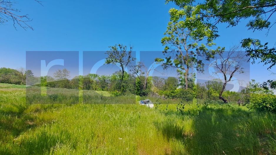 CASA TARANEASCA | TEREN 3000 MP | DESCHIDERE 52 M | COMUNA CIOLANESTI - Poză 3