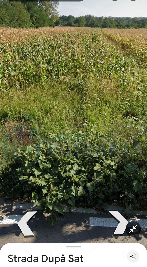 Teren intravilan de 2900 mp in Ruginoasa, Iasi, langa DN28 - Poză 4