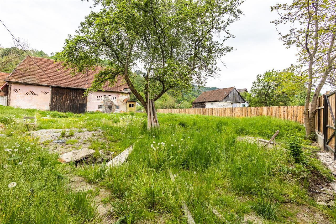 Casa traditionala + 8.500 mp teren, intravilan, Sinca Noua, Brasov - Poză 7