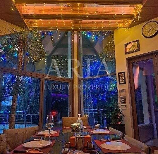 Vila grandioasa, Gradina Japoneza, SPA, Crama, Teren Tenis, Foisor, Iaz Pesti - Poză 9