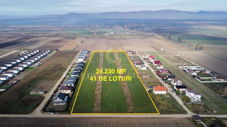 Teren de vânzare – Hălchiu, Brașov | Ideal investiție / dezvoltare rez - Poză 1