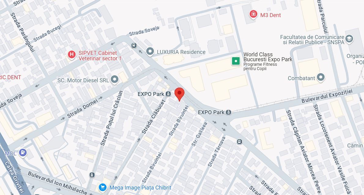 Teren intravilan 189 mp | Domenii | Expozitiei - Poză 1