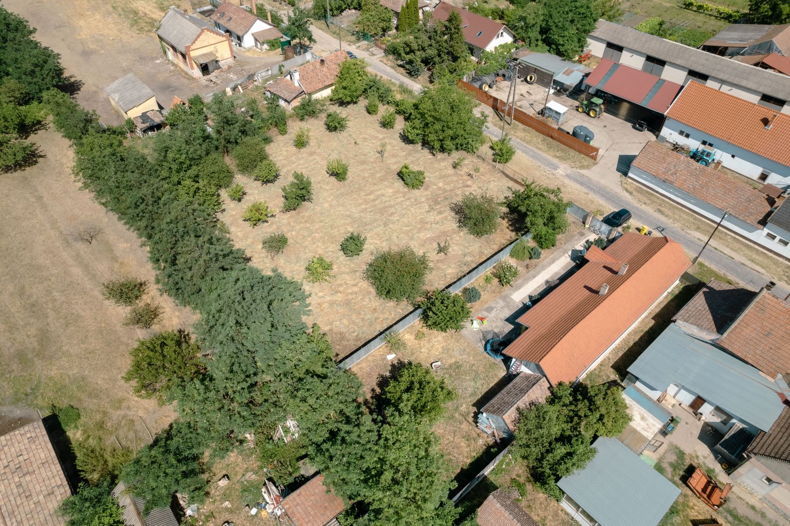 Casă cu teren 3332mp în Bătania - Poză 14