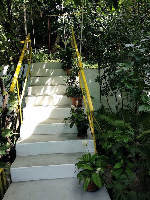 Casa, 3 dormitoare si living, de vînzare în Copou, an constr.2004 - Poză 1