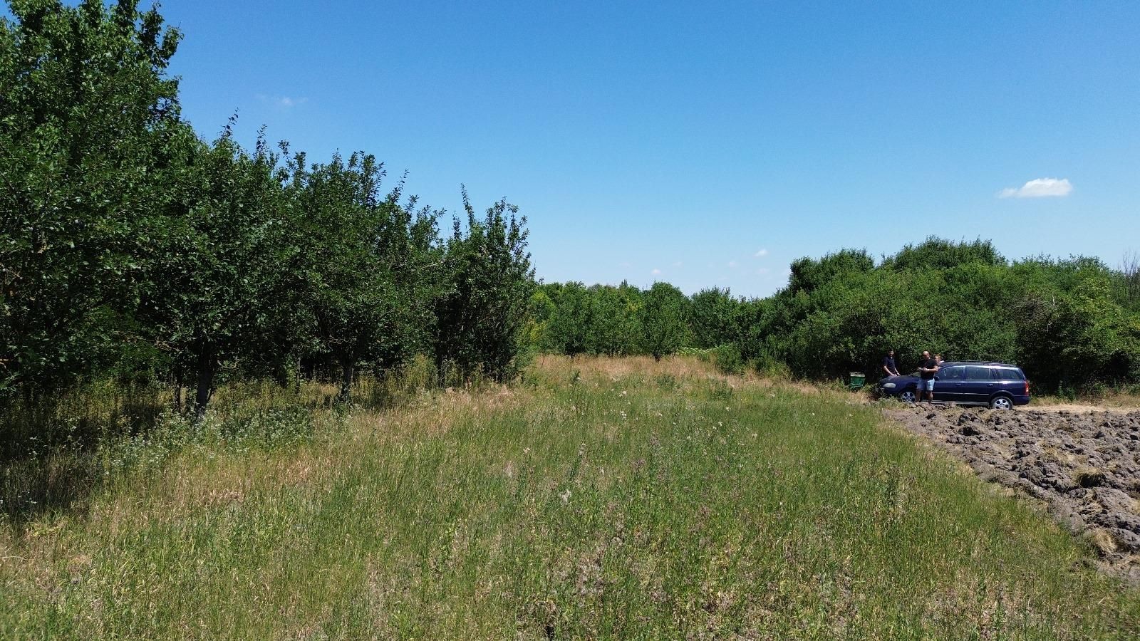 Teren cu livadă – 9.000 mp –la 400 m de ieșirea din Chișinau Cris - Poză 7