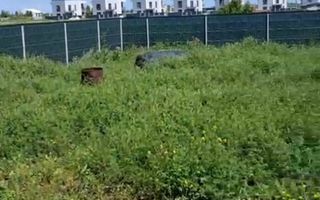 Casa parter de vanzare | Corbeanca- Ostratu | 4 camere - Poză 3