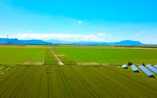 Loturi de teren 225 mp - Hărman | Ideal grădină și agrement | - Poză 7