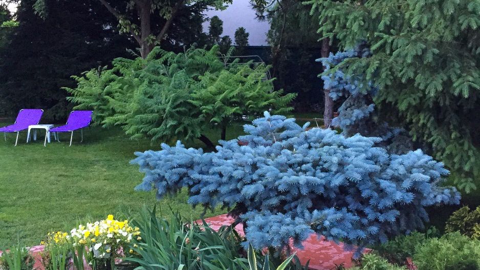 PROPRIETATE CU ENERGIE PURA |  Sanctuarul Eleganței și Rafinamentului - Poză 20