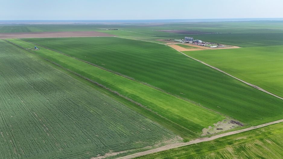Teren de vanzare in Săcele ideal pentru silozuri, fermă 6 ha - Poză 13
