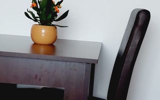 Apartament 2 camere Drumul Taberei Parc Moghioros - Poză 12