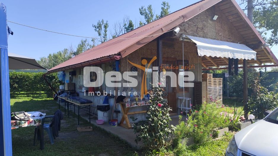 Plantatie de Muri Baicoi 10.000 mp Afacere la cheie! - Poză 10