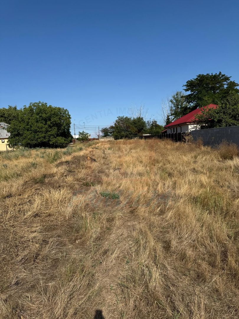 100Euro/mp TEREN intravilan, zona Arcasilor - Poză 6