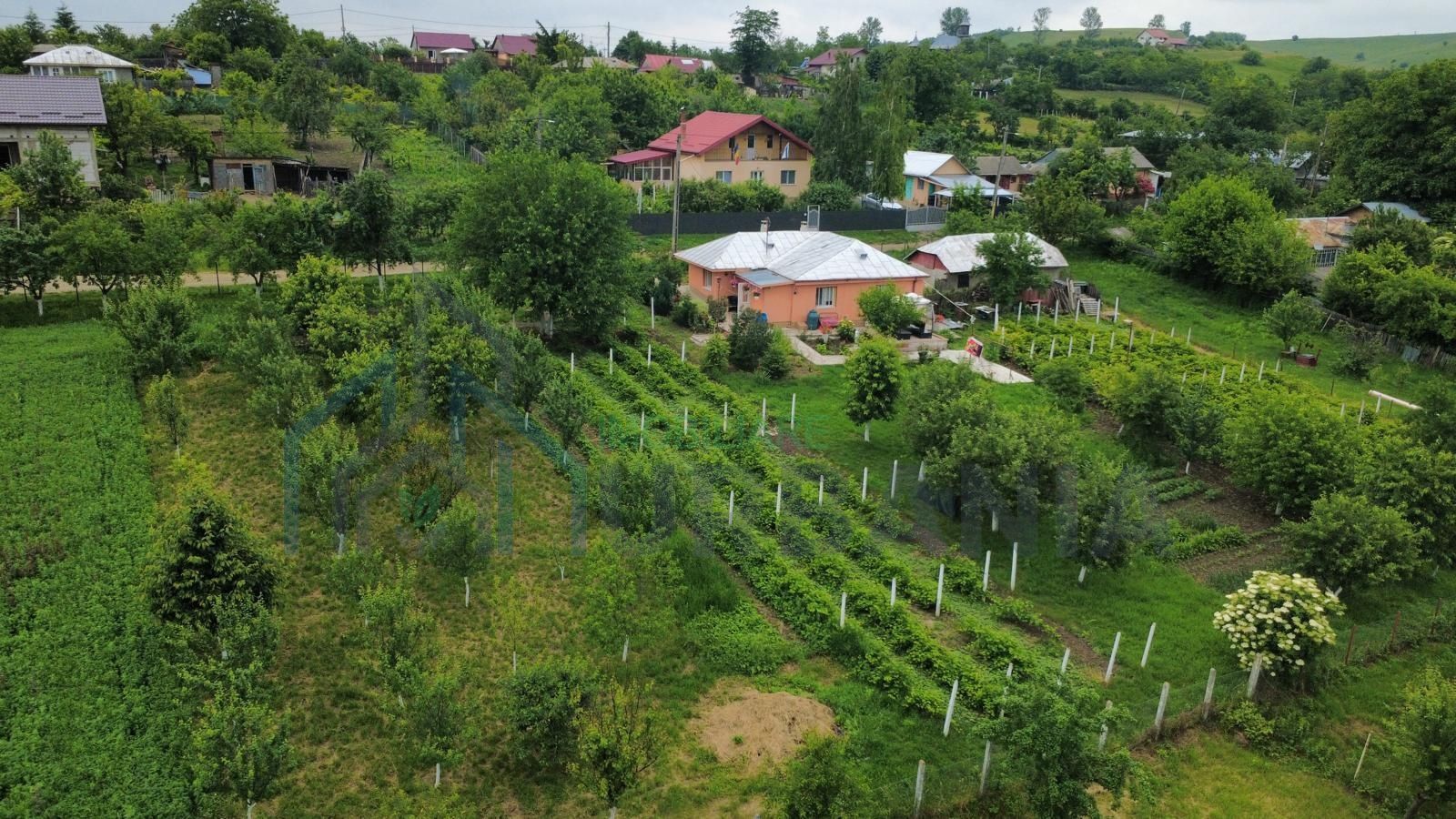 Casă renovată, teren 3.200 mp cu livadă și vie – Comuna Popești, sat Obrijeni, județul Iași - Poză 7