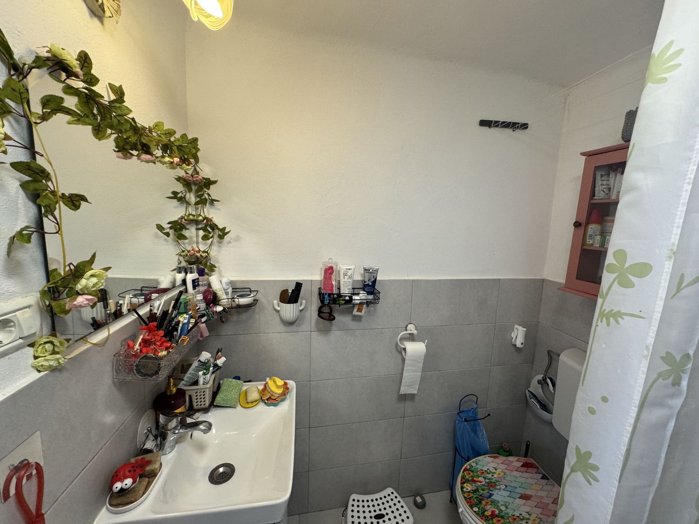 Casa individuala in Arpasu de Sus, teren mare, partial renovata - Poză 16