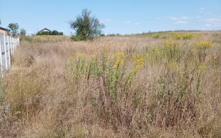 Teren intravilan de vânzare în Avrig | 1.000 mp | PUZ aprobat - Poză 4