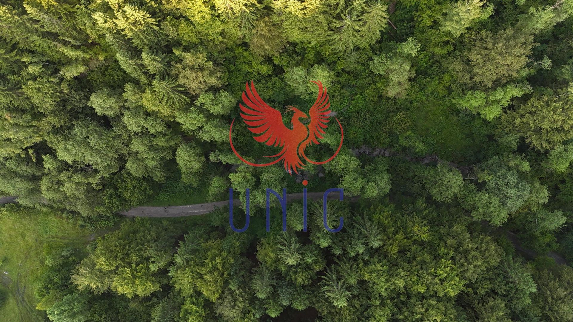 18000 mp de natura pura ,Lupeni, langa Straja - Poză 21