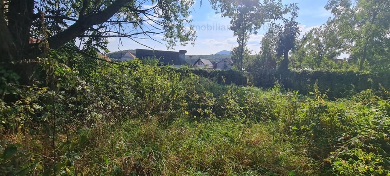 Casa individuala cu 3 camere,CODLEA - DUMBRAVITA ,65000 euro - Poză 8