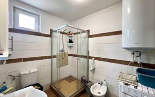 Ferma agricola, plantatii de mure, trandafiri, vita-de-vie - Poză 9