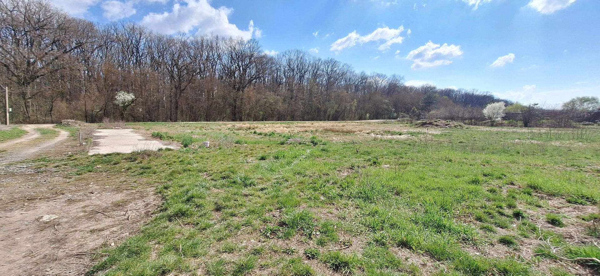 Teren duplex Dumbravita- Padurea Verde - Poză 1