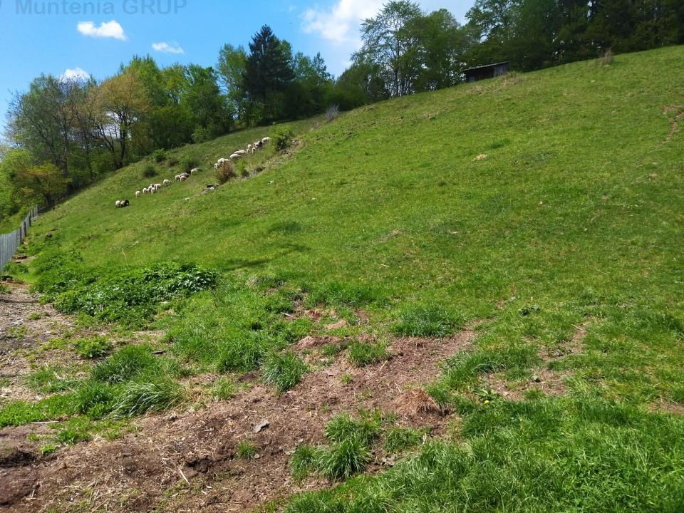 NAMAESTI - Valea Mare Pravat, 7000 mp. teren intravilan, ideal locuinta - Poză 4