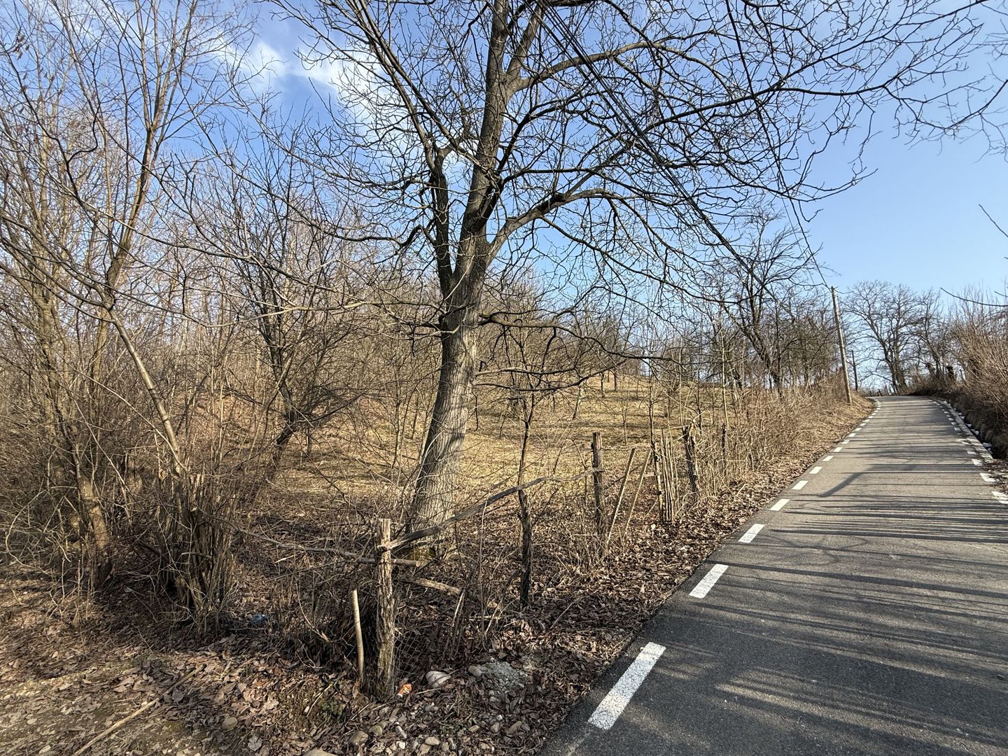 Teren intravilan 2788 mp deschidere 55 ml cu vedere panoramica ! - Poză 21