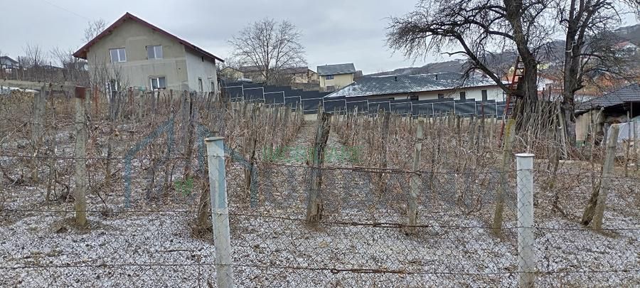 Teren intravilan 842 mp, Valea Lupului, ideal construcție casă - Poză 2