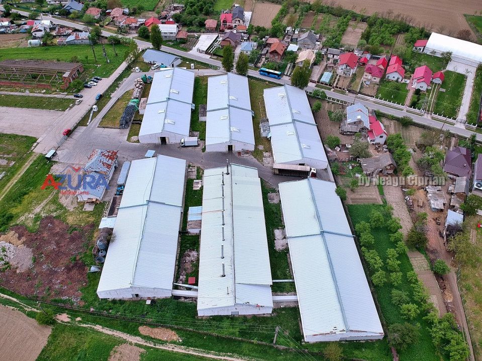 COMISION 0% - HALE Calinesti Arges - Poză 78