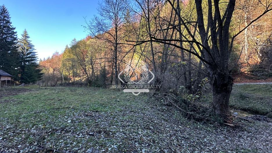 Teren 2.882 mp – oportunitate investitie - Cheile Dâmbovicioarei - Poză 10