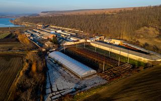 Fosta Ferma a Partidului de la Horgesti - de vanzare - Poză 14