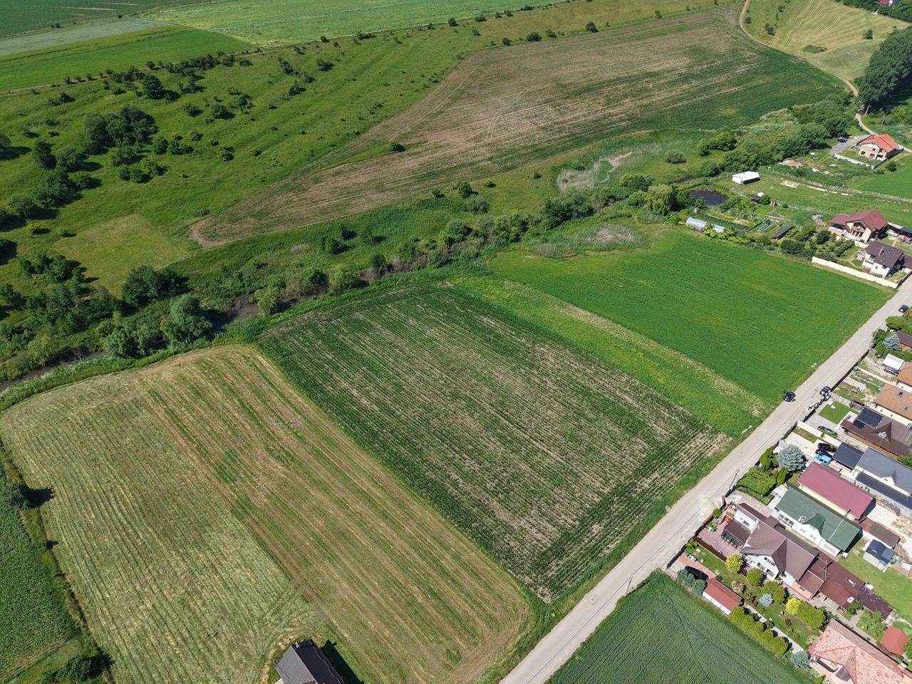 Teren intravilan 10.000 mp, Rotbav (Feldioara) - Poză 3