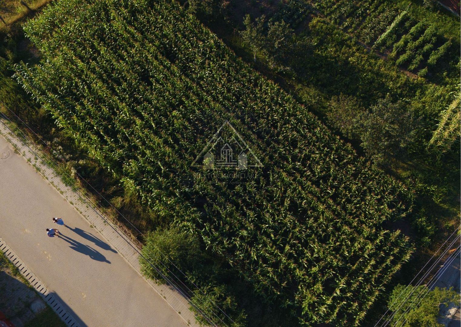 Teren intravilan - Ighisu Nou - Poză 5