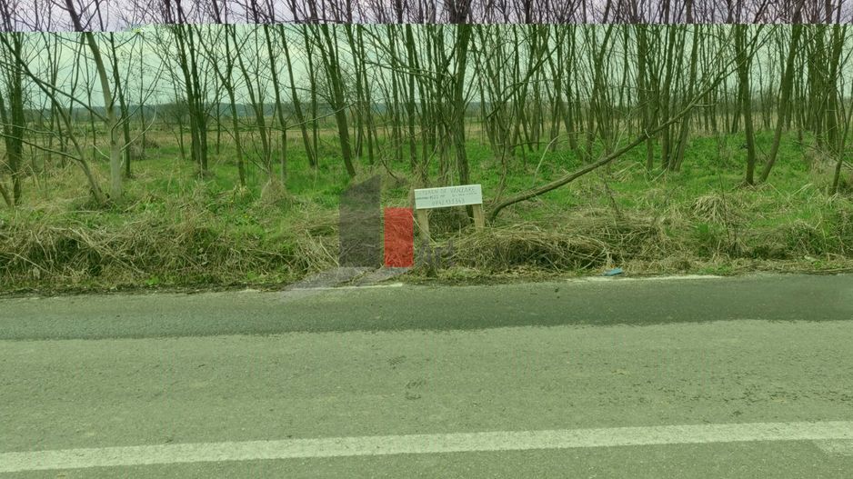 Vânzare teren Ogrezeni județul Giurgiu - Poză 4