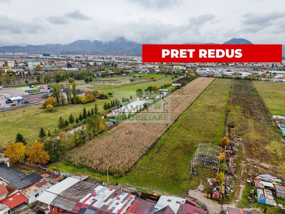 Teren industrial- Timișul Sec oportunitate investițională - Poză 5