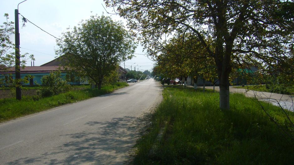Teren Intravilan in zona accesibila ! Acces la sosea. Utilitati in apropiere. - Poză 4