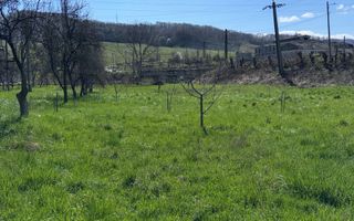 CASA 5 CAMERE TEREN 7500 MP CAMPULUNG - Poză 40