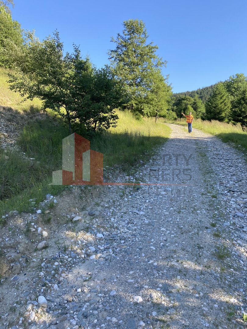 Teren 14400 mp la iesire din Rasnov inspre Pârâul Rece-Trei Brazi - Poză 5