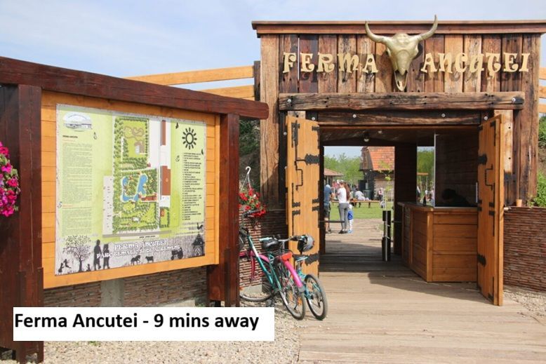 Reducere pret!!! Vila smart, TVA 0 , Moara Vlasiei, acces A3 - Poză 22