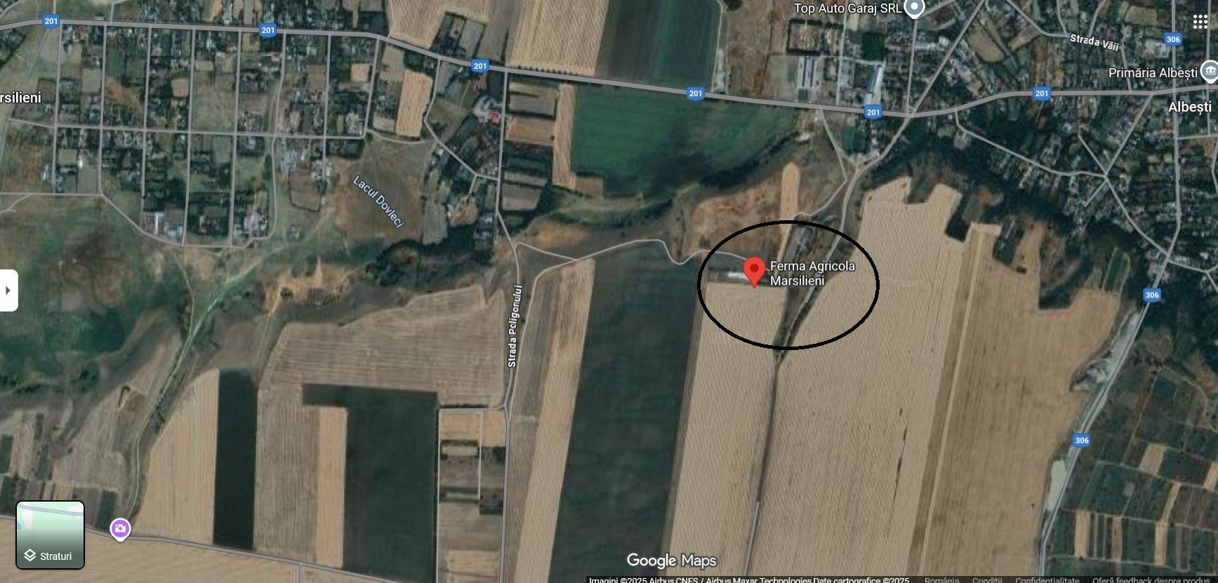 De vanzare ferma de gaini ouatoare in sistem free-range | 45.000 mp teren - Poză 8