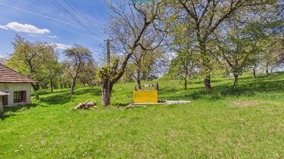 Proprietate rară cu 24.270 mp, în Măgulicea, Arad! - Poză 36